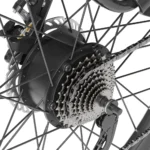 T1.webp