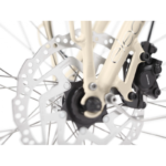 Electra-Townie-Commute-Go-12-compressed.jpg