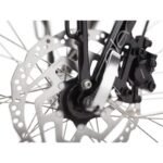 Electra-Townie-Commute-Go-5i.jpg