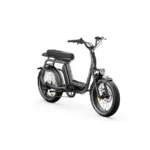 Elwing-Ritmic-Duo-velo-electrique-cargo-2.webp