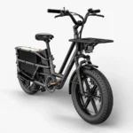Fiido-T2-Velo-electrique-Longtail.webp