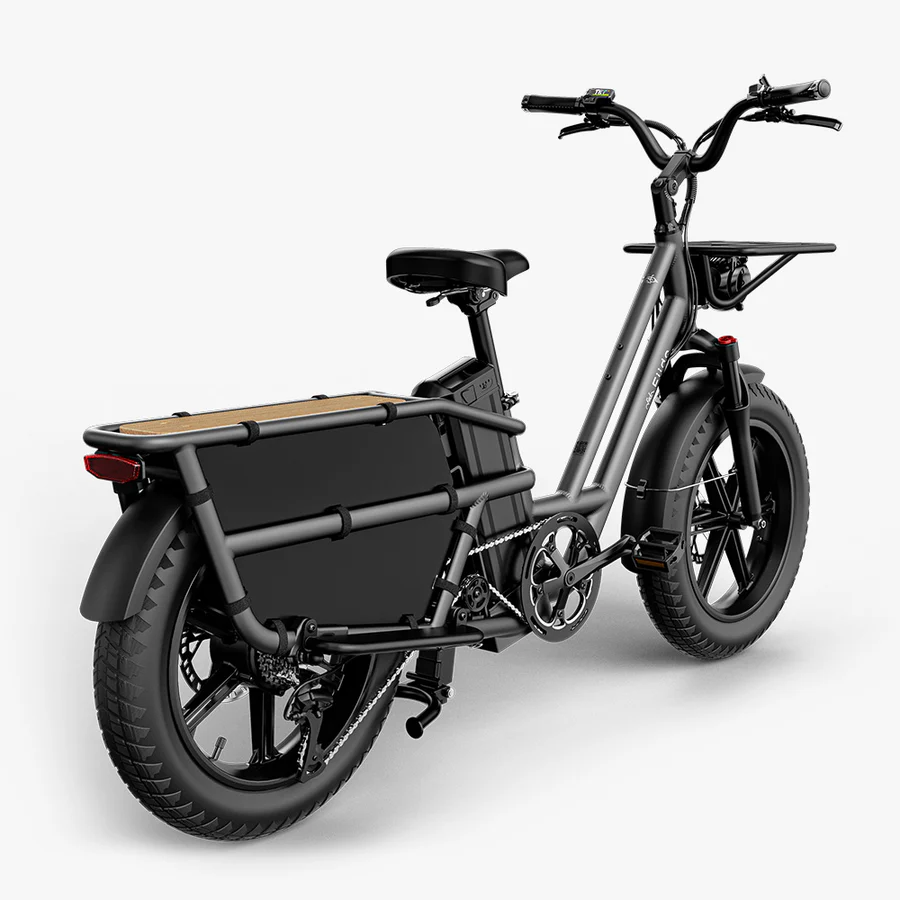 Fiido-T2-Velo-electrique-Longtail-5.webp