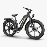 Fiido-Titan-Fat-Tire-Touring-Velo-electrique.webp