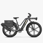 Fiido-Titan-Fat-Tire-Touring-Velo-electrique.webp