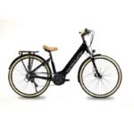 Granville-E-Integrated-30-plus-500Wh-7-compressed.jpg