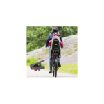 Porte-bebe-velo-Hamax-Caress.jpg