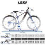 1-UB300.jpg