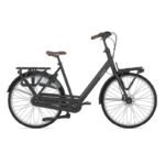 Velo-Gazelle-Bloom-compressed.jpg
