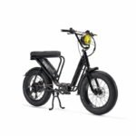 Velo-cargo-electrique-le-Bolide-8.jpg