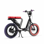 Velo-cargo-electrique-le-Bolide-x-Patine.jpg