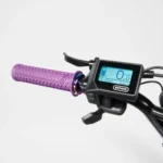 Velo-cargo-electrique-le-Bolide-x-Patine.jpg