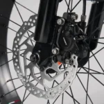 Velo-cargo-electrique-le-Bolide-x-Patine.jpg