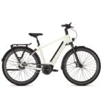 Velo-de-ville-electrique-Kalkhoff-Image-5-Move-2.jpg