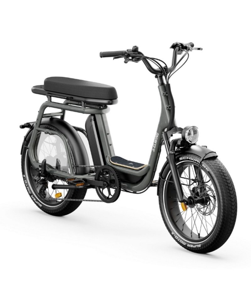 Velo-electrique-Elwing-Ritmic-Duo-1.jpg