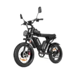 Velo-electrique-Ridstar-Q20-Pro.webp