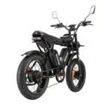 Velo-electrique-Ridstar-Q20-Pro.webp