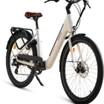 Velo-electrique-Shiftbikes-Shift-1.jpg