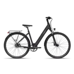 Velo-electrique-Tenways-CGO800S.webp
