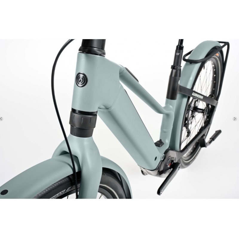 Winora-Iride-pure-X10-6.jpg