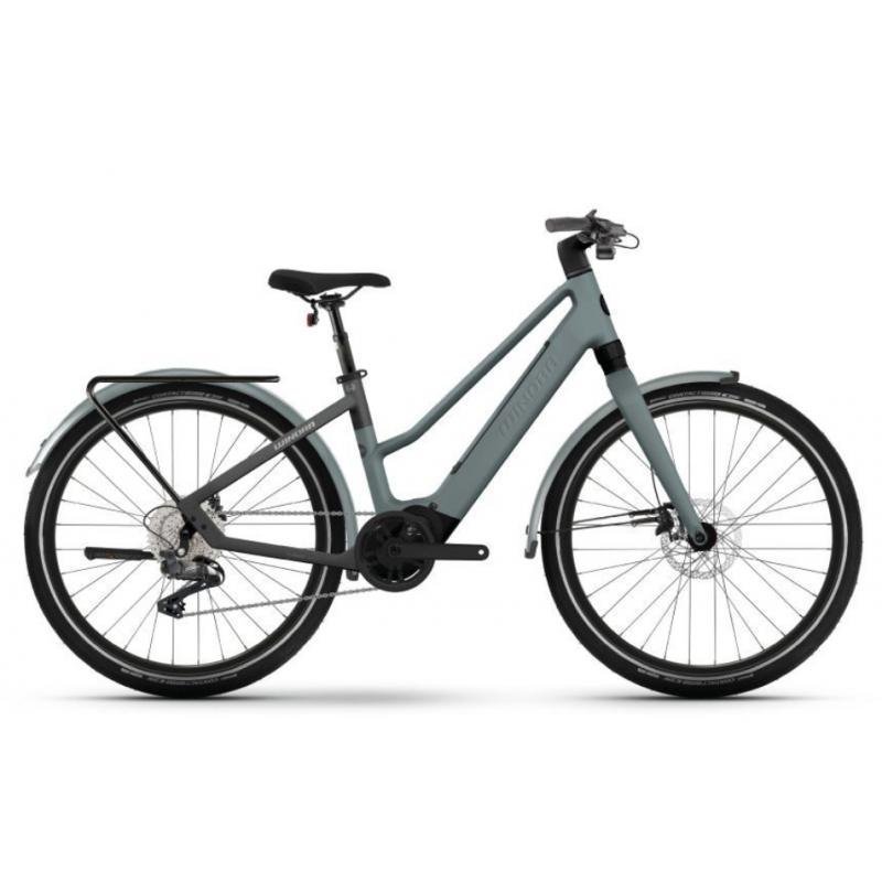 Winora-Iride-pure-X10-compressed.jpg