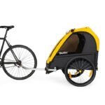 burley-bee-double-yellow-black-a-1502269.jpeg
