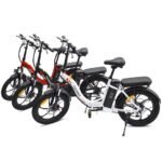 fafrees-f20-250w-20-folding-electric-bike-576wh-city-e-bike-36v-16ah-battery-2.jpg