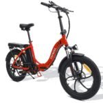 fafrees-f20-250w-20-folding-electric-bike-576wh-city-e-bike-36v-16ah-battery-2.jpg