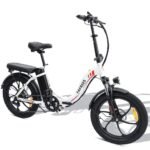 fafrees-f20-250w-20-folding-electric-bike-576wh-city-e-bike-36v-16ah-battery-2.jpg