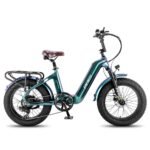 fafrees-f20-master-500w-20-fat-bike-1080wh-carbon-fiber-electric-bike-48v-22-5ah-battery-1.jpg