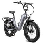 fafrees-f20-master-500w-20-fat-bike-1080wh-carbon-fiber-electric-bike-48v-22-5ah-battery-1.jpg