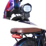 fafrees-f20-pro-250w-20-folding-electric-bike-648wh-city-e-bike-electric-bike-36v-18ah-battery-5.jpg