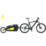 remorque-monoroue-topeak-alu-journey-trailer-noir-avec-sac-tanche-drybag-66-litres-125kg-drapeau-signaliseur-48kg-sans.jpg