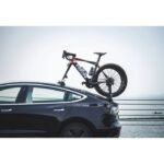 treefrog-pro-2-bike-rack-l-1856429.jpg