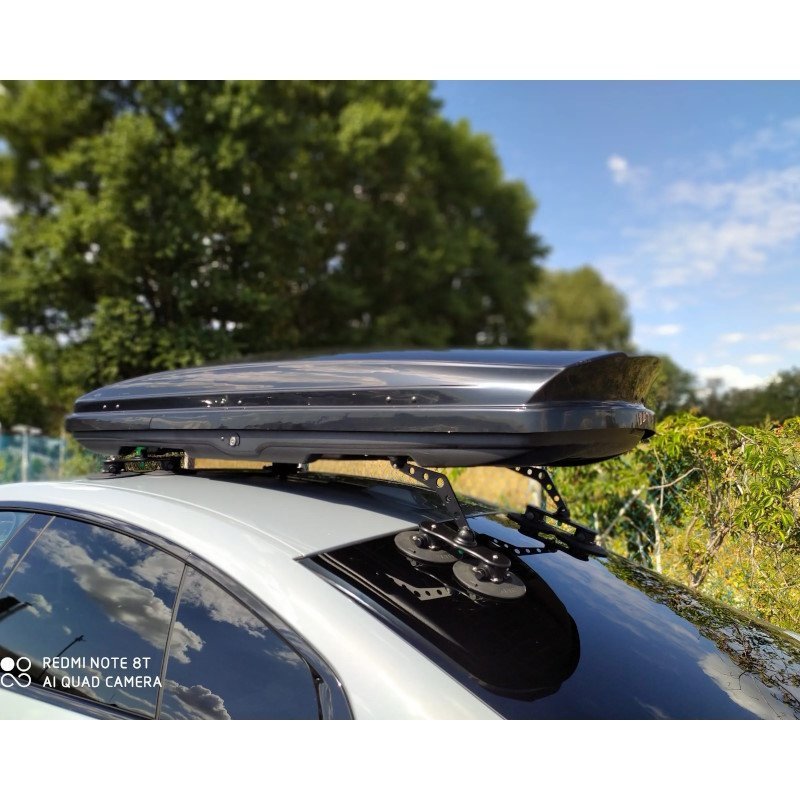 treefrog-roof-box-rack-22x-d-1855781.jpg