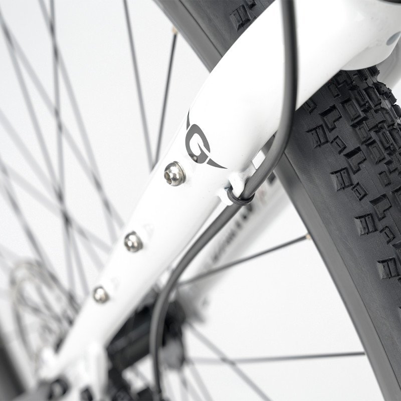 velo-gravel-genesis-croix-de-fer-10-20.jpg
